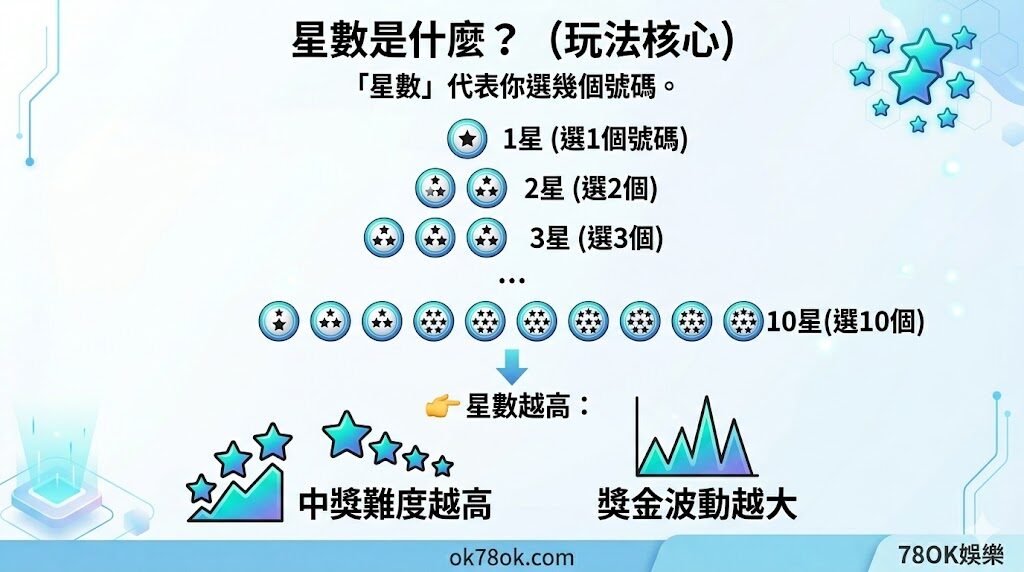 賓果賓果怎麼玩?完整玩法教學、星數規則與中獎方式一次看懂【78OK娛樂】 5 image 17 13