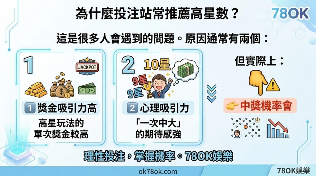 賓果賓果怎麼玩?完整玩法教學、星數規則與中獎方式一次看懂【78OK娛樂】 6 image 17 15